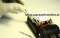 SERWIS LAMP B�YSKOWYCH KRAK�W
